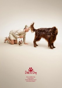 креативная реклама собачьего приюта креативная реклама собачьего приюта