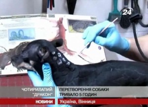 5 часов