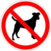 Мусульмане Гааги требуют запретить собак в городе