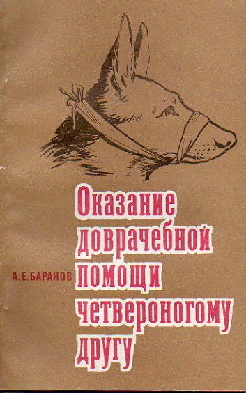 Оказание доврачебной помощи четвероногому другу