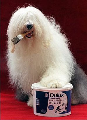 краски Dulux