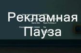 креативная реклама товаров для животных