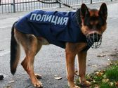 форма полицейских собак